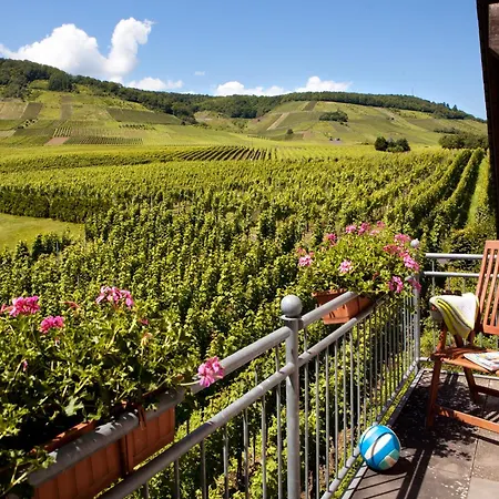 Ferienweingut Pies Ellenz-Poltersdorf Apartment Room photo