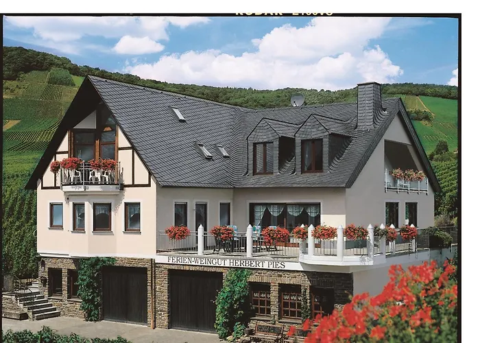 Ferienweingut Pies Ellenz-Poltersdorf
