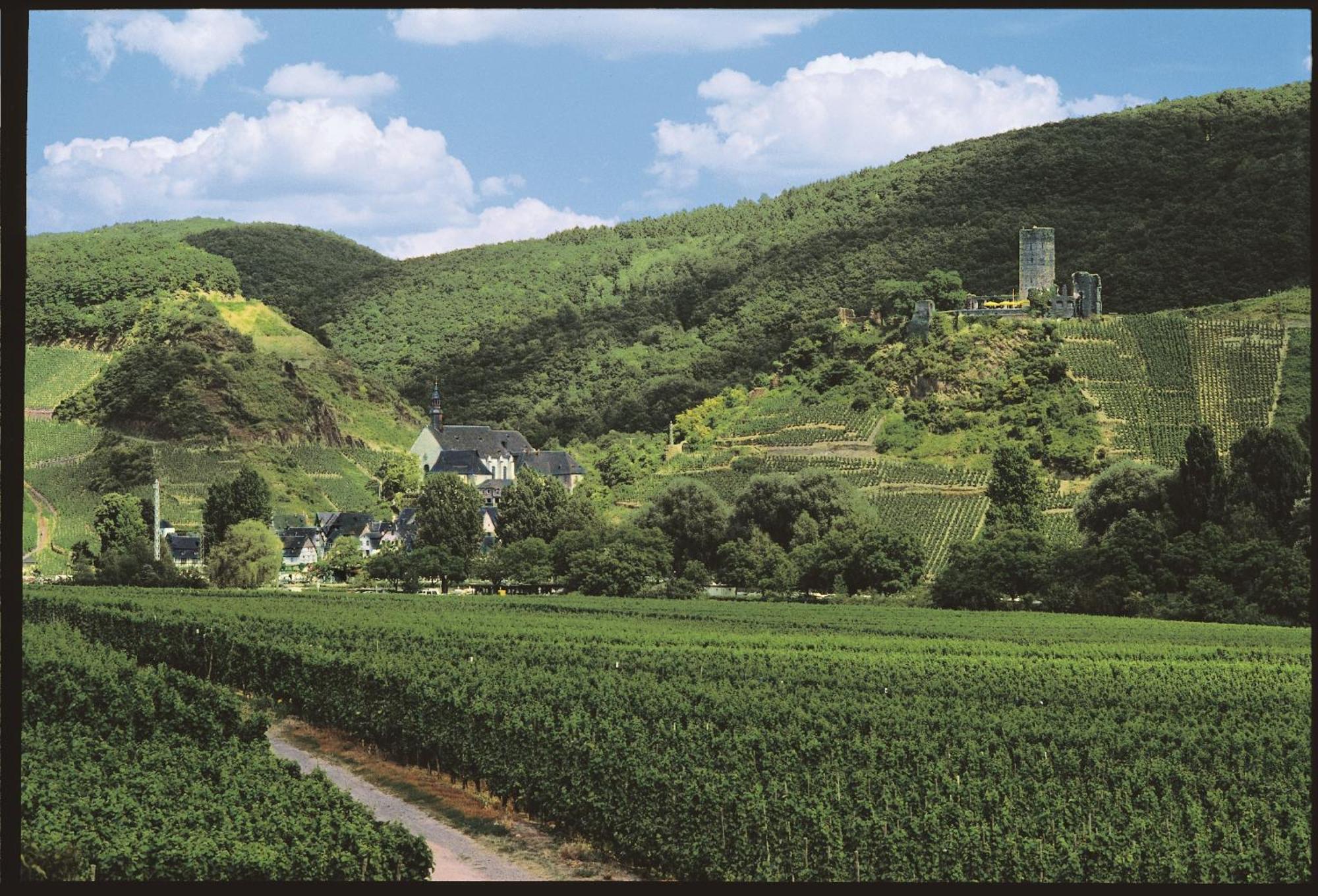 Apartment Ferienweingut Pies