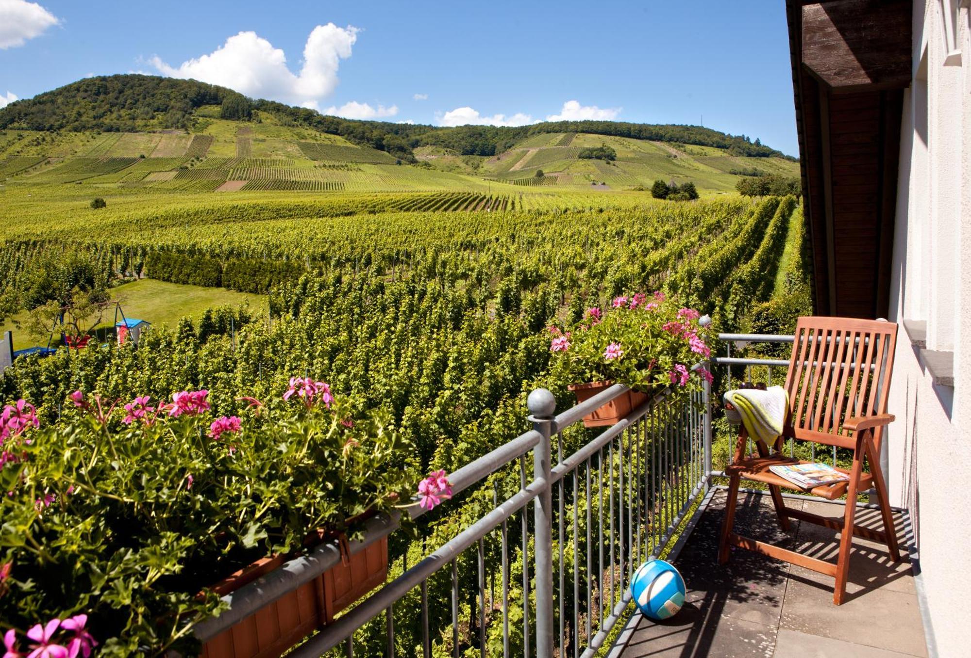 Ferienweingut Pies Ellenz-Poltersdorf