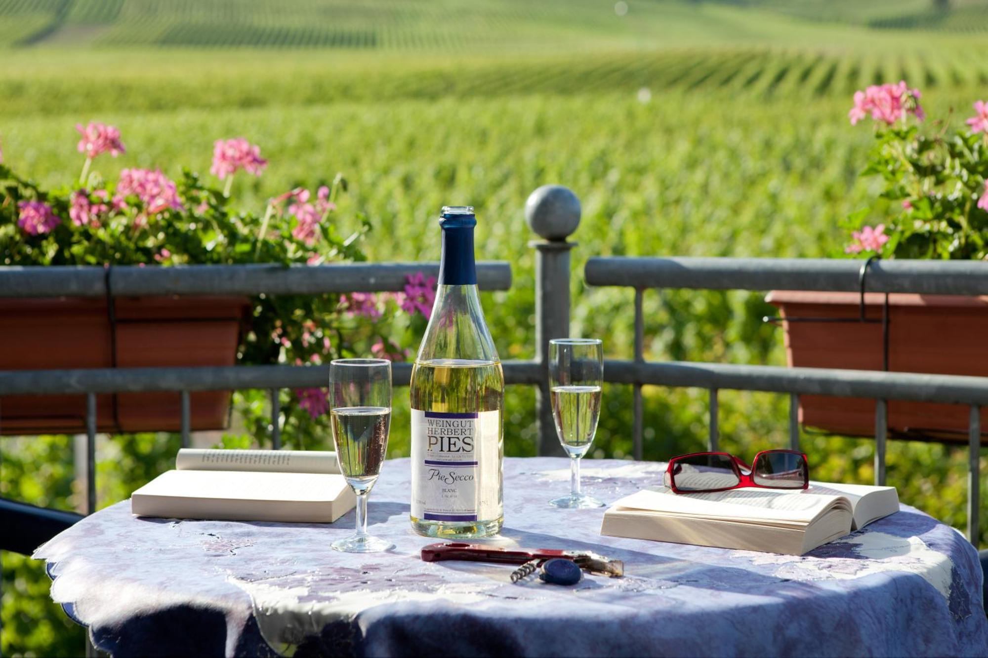 Ferienweingut Pies * Ellenz-Poltersdorf